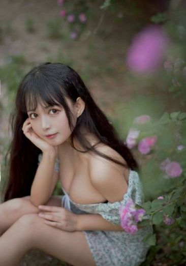 包青天95版国语吕良伟正版_BDHD在线观看