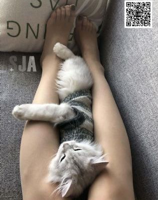 朋友的妈妈韩国片_1080高清迅雷在线观看