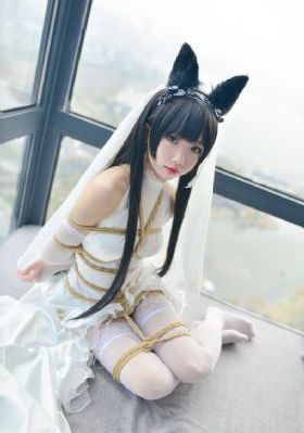 医是医二是二 电视剧_1080P天堂在线
